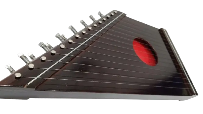 citara ml 5.webp