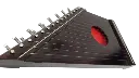 citara ml 5.webp