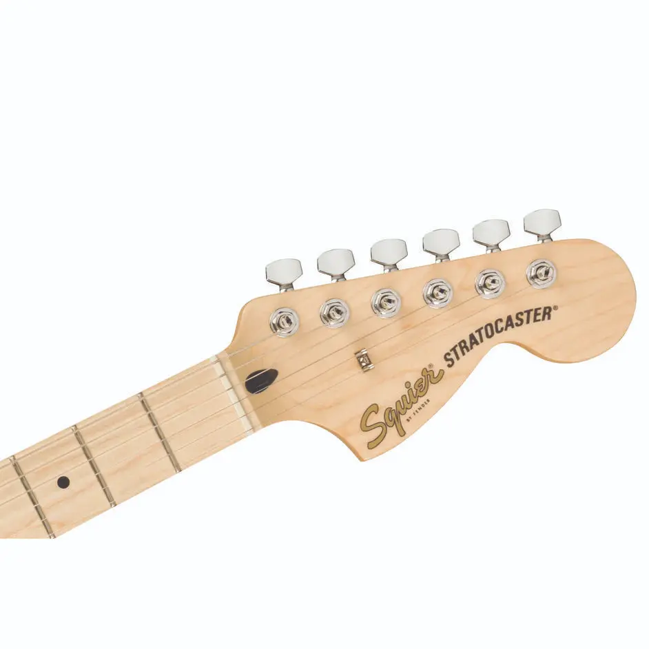 SQUIER 4.webp