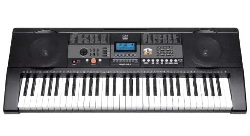Organeta 61 teclas GMT- 361